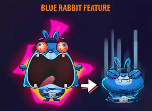 Blue Rabbit Feature