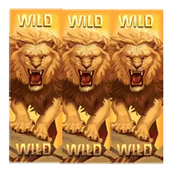 symbol wild