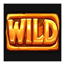 symbol wild