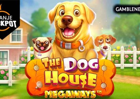 The Dog House Megaways Oranje Jackpot