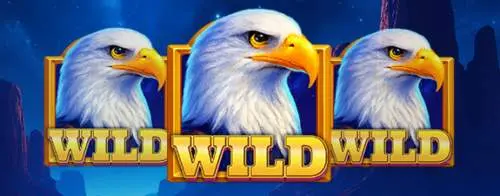 Wild