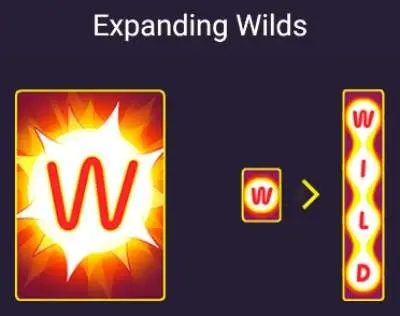 Expanding Wilds