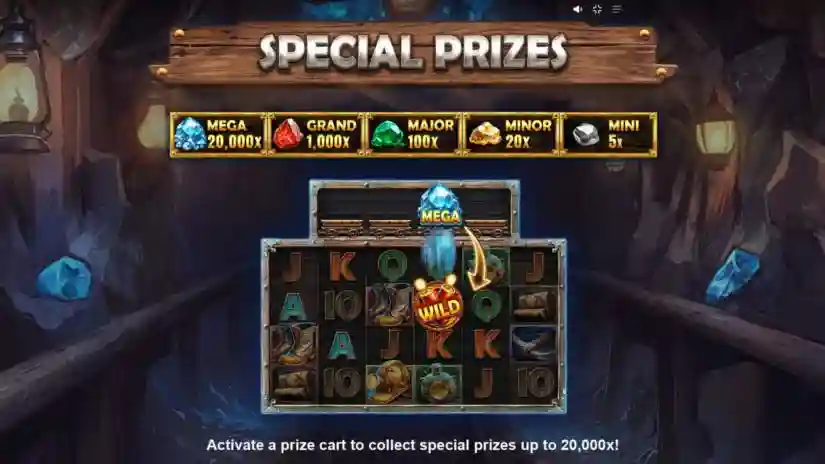 Special Prizes