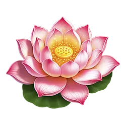 Symbol 02 Dragon Tiger Fortunes