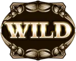 symbol wild