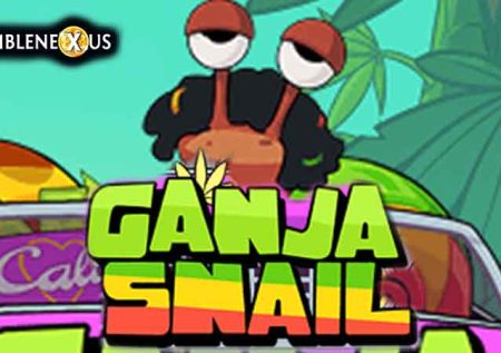 Ganja Snail