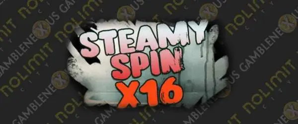 steamy spin x16