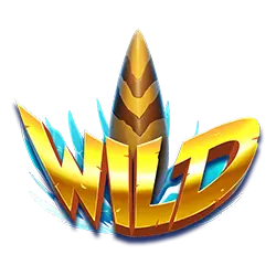 symbol wild