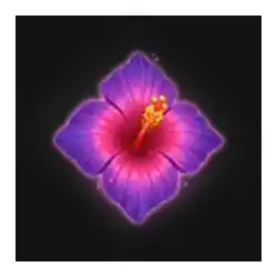 Symbol 06 MultiFly 2