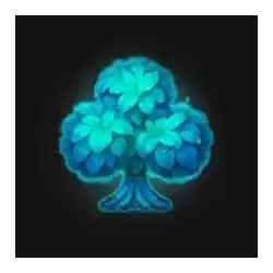 Symbol 08 MultiFly 2