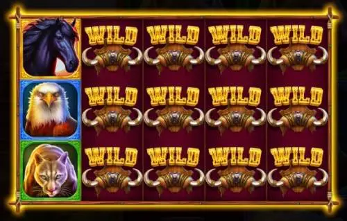 Stacked Wild Symbols