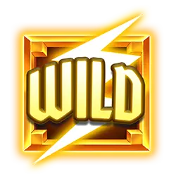 symbol wild