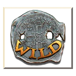 symbol wild