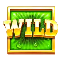 symbol wild