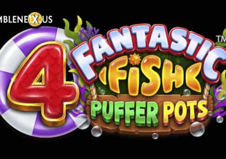 4 Fantastic Fish Puffer Pots
