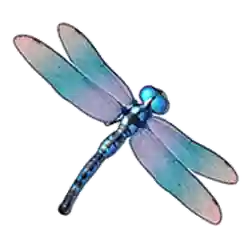 Symbol 02 Big Bass 3 Little Fish – Big Bass Jackpot Bonanza