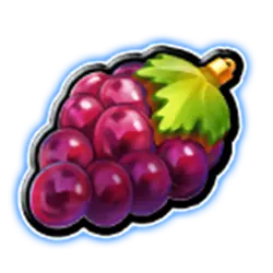 Symbol 02 Fortune Five Xmas Double