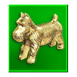 Symbol 04 Monopoly Tapcards