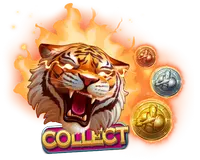 collect feature image