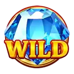 Wild Symbol