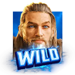 symbol wild