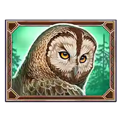 Symbol 03 Wild North Radiant Skies GO Collect