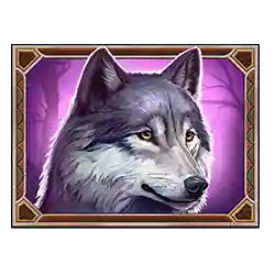 Symbol 02 Wild North Radiant Skies GO Collect