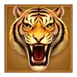 Symbol 05 3 Coin Wild Tiger