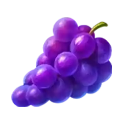 Symbol 04 4 Fairy Flowers