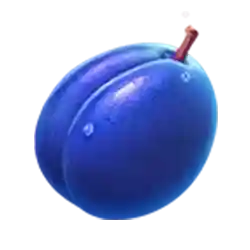 Symbol 07 4 Fairy Flowers