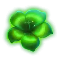 EXTRA, COLLECT, and MULTI symbols