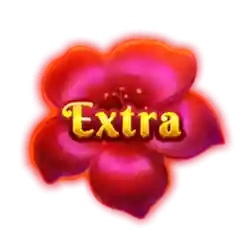 EXTRA Collect Symbol