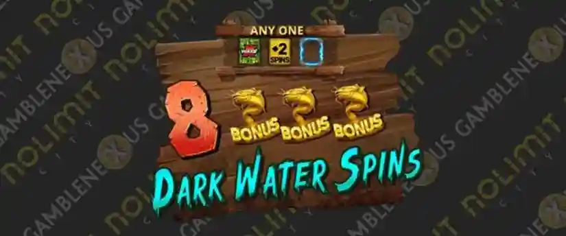 Dark Water Spins