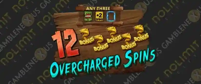 Overcharged Spins