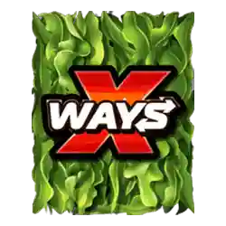 Collect of Catfish Hunters Slot