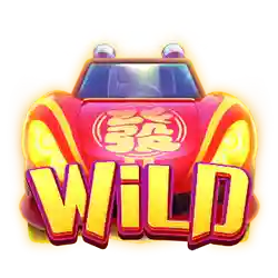 Wild Symbol