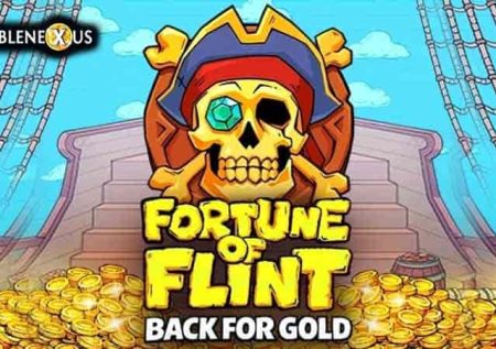 Fortune of Flint: Back for Gold