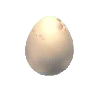 egg