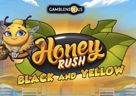 Honey Rush Black and Yellow