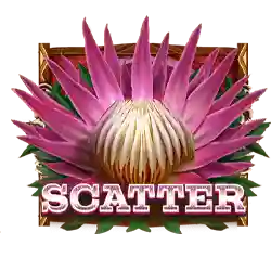 Scatter