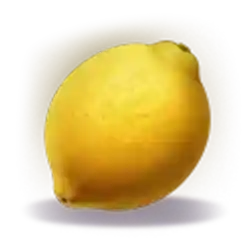 Symbol 07 Joker Coins Expanded