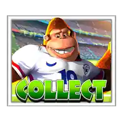 Kong Collect symbol