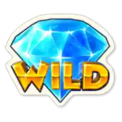 Wild Symbol