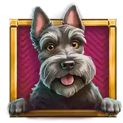 Collect of Monopoly Money Magnate Slot