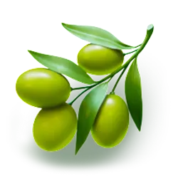 Symbol 04 Olympus 7s Dream Drop