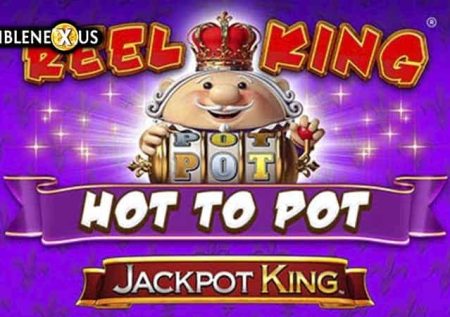 Reel King Hot To Pot