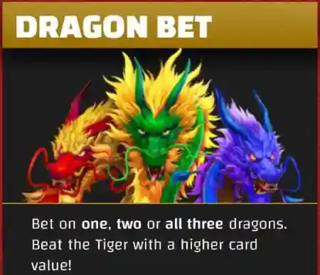 Dragon Bet