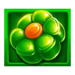 Symbol 02 Sugar Teddy