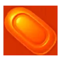 Symbol 09 Sugar Teddy