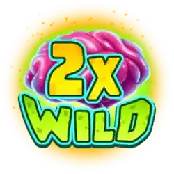 Wild Symbol x2